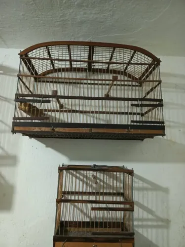 Gaiolas de sabiá