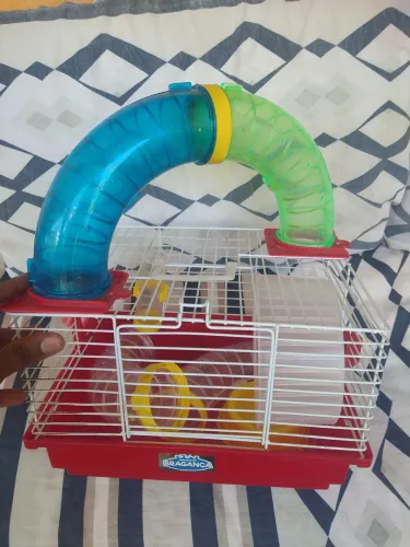 GAIOLA DE HAMSTER