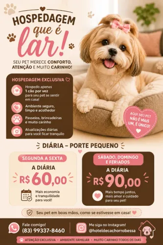 HOTEL DE CACHORRO - PORTE PEQUENO ?