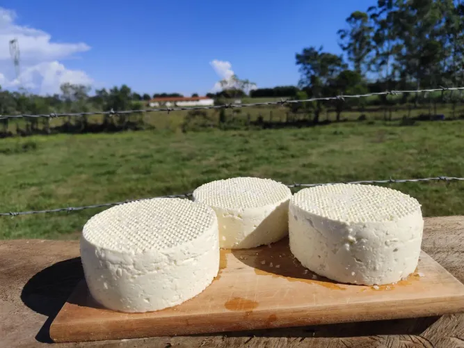 Queijo Minas fresquinho direto da roça