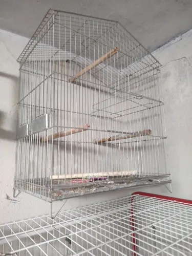 Gaiola para calopsita
