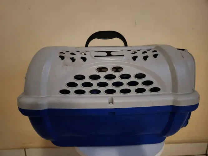 Caixa de transporte pet