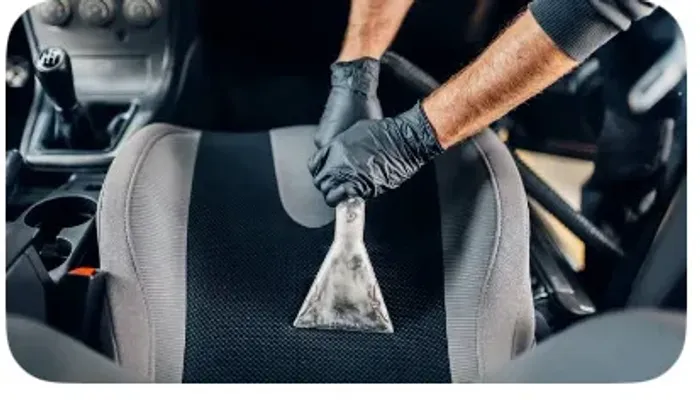 Estética automotiva aparte de 149,99
