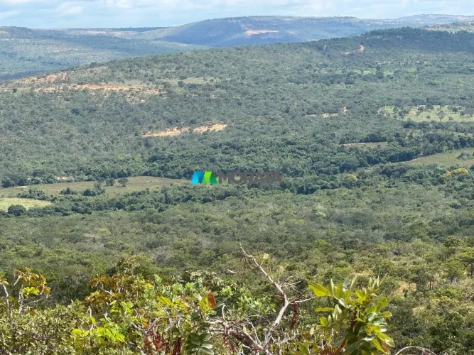 FAZENDA À VENDA - 243 HECTARES - CORNTO (MG)