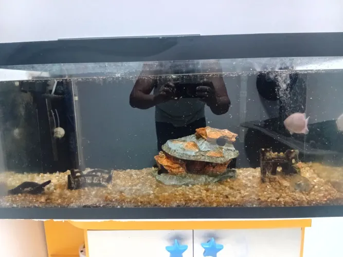 Aquário completo de 200 litros 