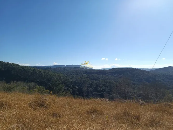 Chácara Campo Largo 27.000m²