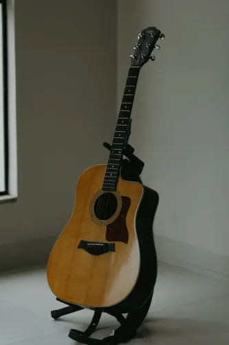 Violão Taylor 210CE