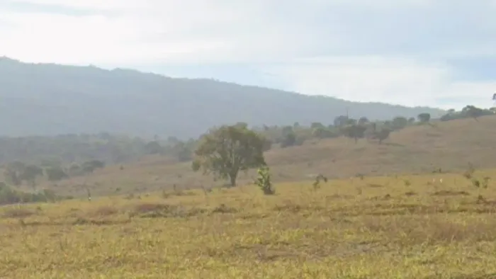 Leilão - Rural - De R$392.562,00 Por R$196.281,00