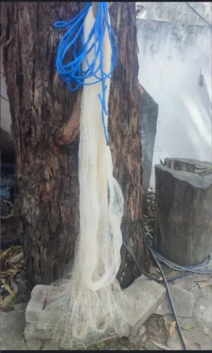Tarrafa para pesca 