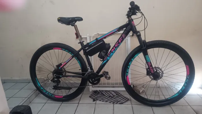 BICICLETA ARO 29