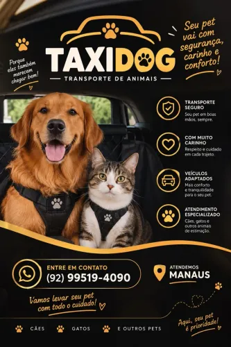 Táxi Dog Manaus 