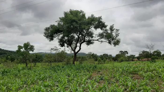 Vendo lote na Agrovila Cantagalo 500 ou mil metros²