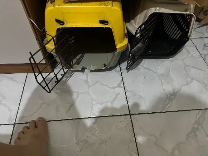 caixa de transporte 