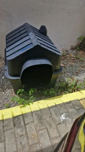 Casa para cachorro