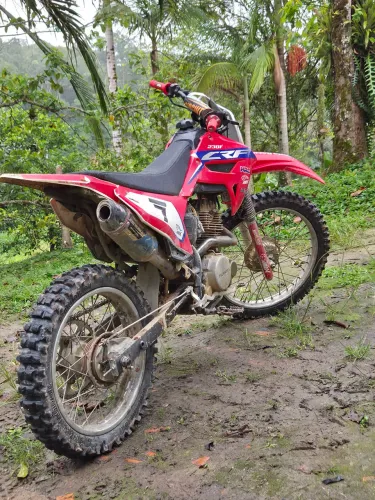 CRF 230