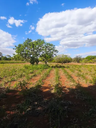 Excelente Chácara de 2 Hectares no Morumbi  Na Beira do Asfalto!