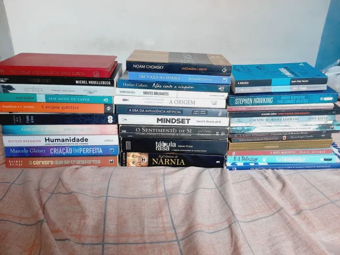 Coleção de mais de 30 Livros variados - Stephen Hawking, Nárnia, Mindeset , Etc.