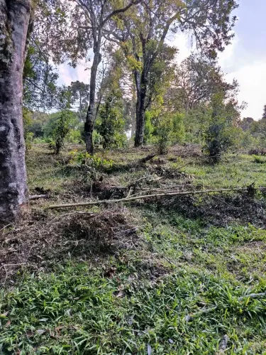 Área de 22 mil MTS Antônio Olinto 