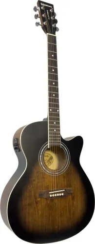 VIOLAO ELETRO-ACUSTICO MARCA WALDMAN REF. FCE-40 LSB