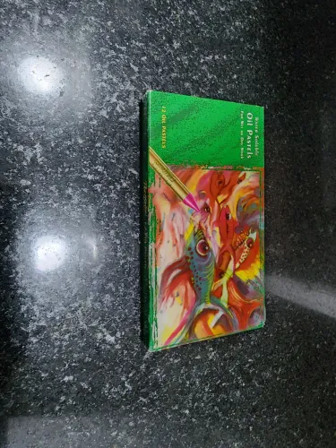 Kit Pastel Oleoso 12 Cores da marca Portifolio da Australia - Ideal para Desenho Artístico