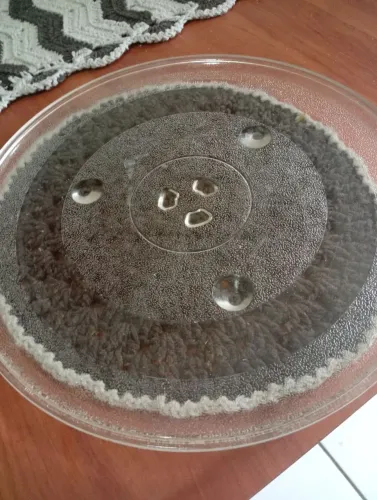 Prato de microondas