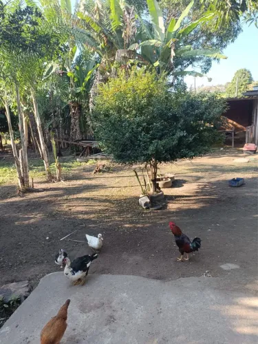 Vendo sítio em Guarapari 