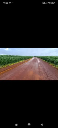 Fazenda arrendamento 6.000 hec plantando, sul do Pará, abre até 13. Mil hec