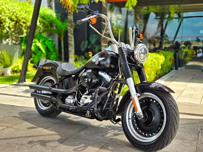 Harley-Davidson Fatboy Special 2015