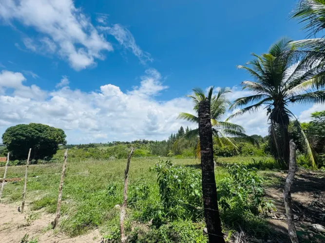 Lotes em Nova Descoberta- Itaporanga D?Ajuda