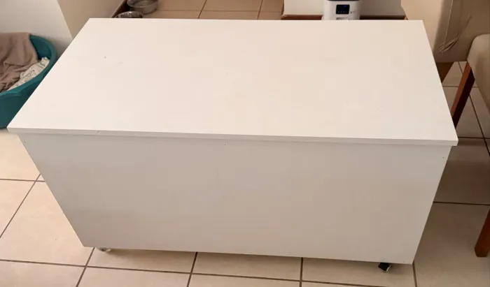 Caixa de areia gatos
