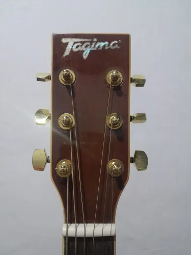 Violão tagima dallas aço 
