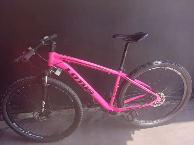 Bicicleta