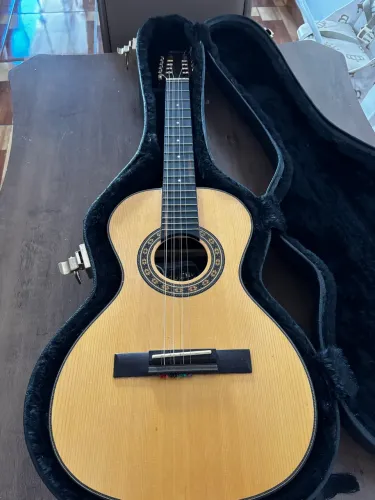 Viola caipira 