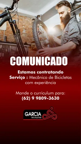 Mecanico de Bicicletas 