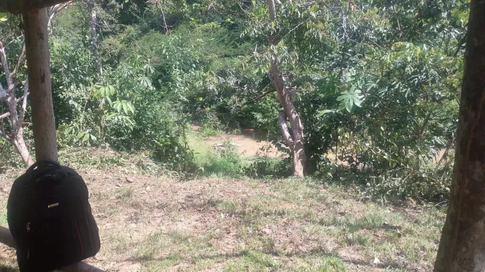 Vende - se uma área de terra com aproximadamente 100 hectares de terra