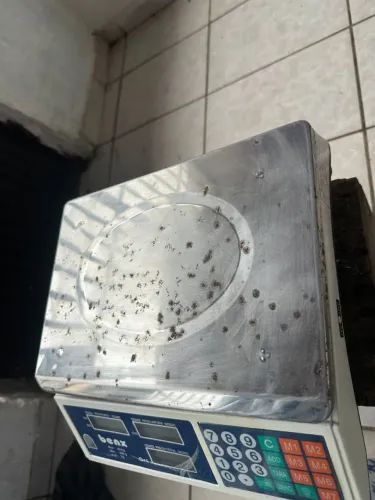 Vendo balança digital com 2 meses de conplada ela foi 570 reais eu vendo por 300