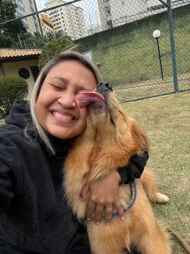 Adestramento Canino em São José dos Campos | Educação e Comportamento