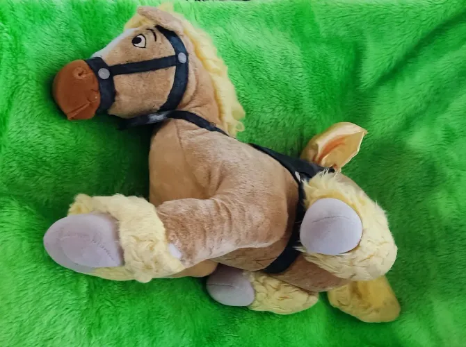 Poney Bela e a Fera
