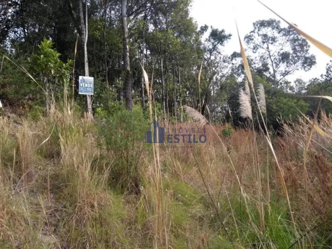 Terreno à venda, 437 m² por R$ 320.000,00 - Santo Antônio - Caxias do Sul/RS