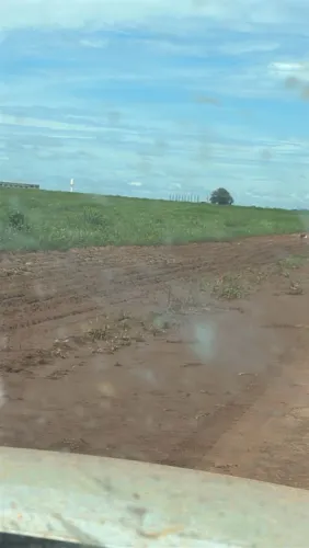 Fazenda de arrendamento 2.700hec em são José do xingú MT.