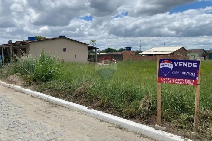 Terreno Plano no Sítio Onça - Invista em Brejão!