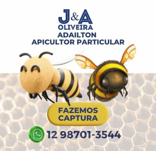 Apicultor particular 24 hrs