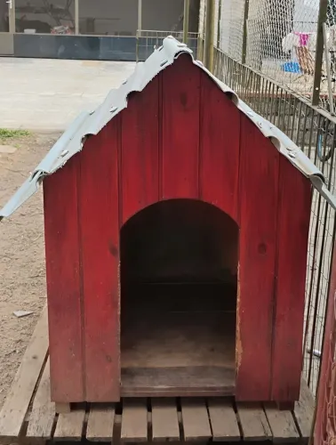 Casinha de madeira para cachorro