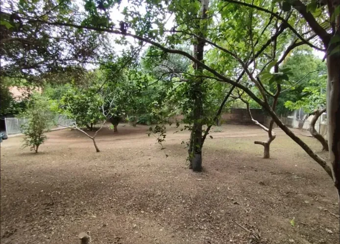 Imóvel para venda tem 200 metros quadrados com 3 quartos em Santa Cruz - Cuiabá - MT