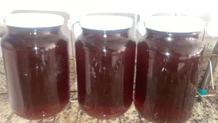 MEL DE EUCALIPTO 100% PURO ORGÂNICO ENTREGA SEM CUSTO