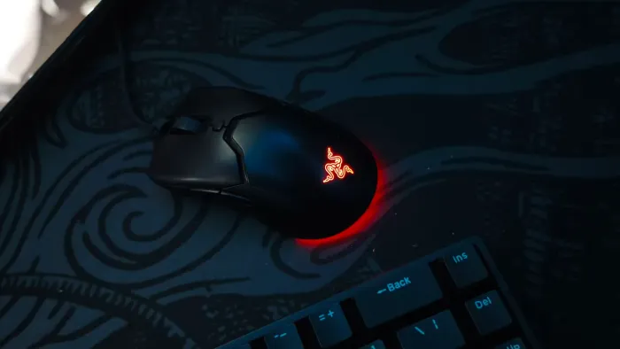 Razer Viper Mini