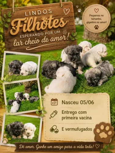 Animais de estimação 