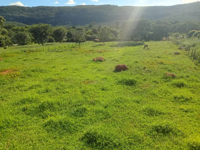 Chacara Sítio  Estrada produção 