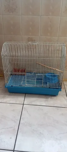 Gaiola