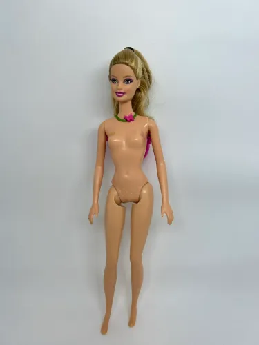 Barbie Mariposa e a Princesa Fada